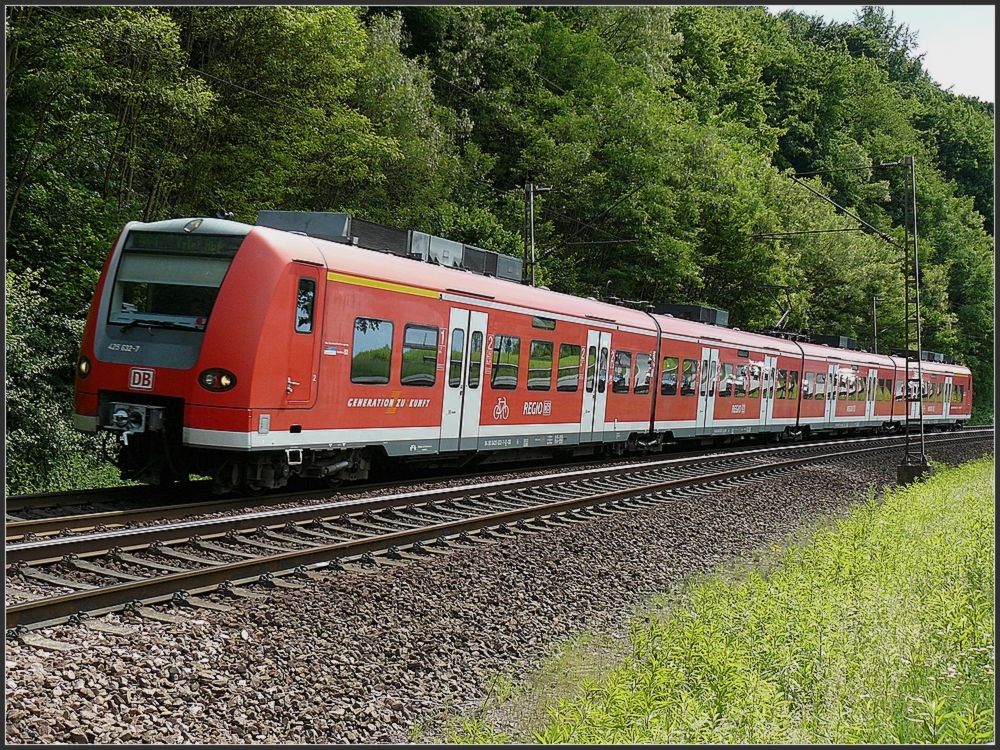 A 425 unit is running between Mettlach and Saarburg on May 31st, 2009.