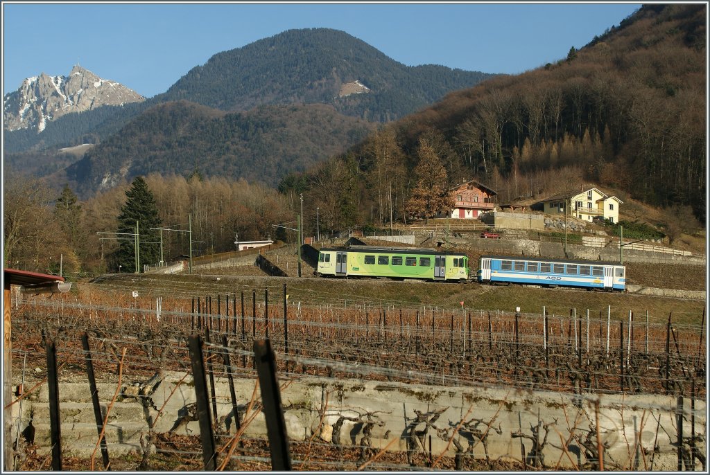 A ASD local train in the vineyards by Aigle. 
04.02.2011