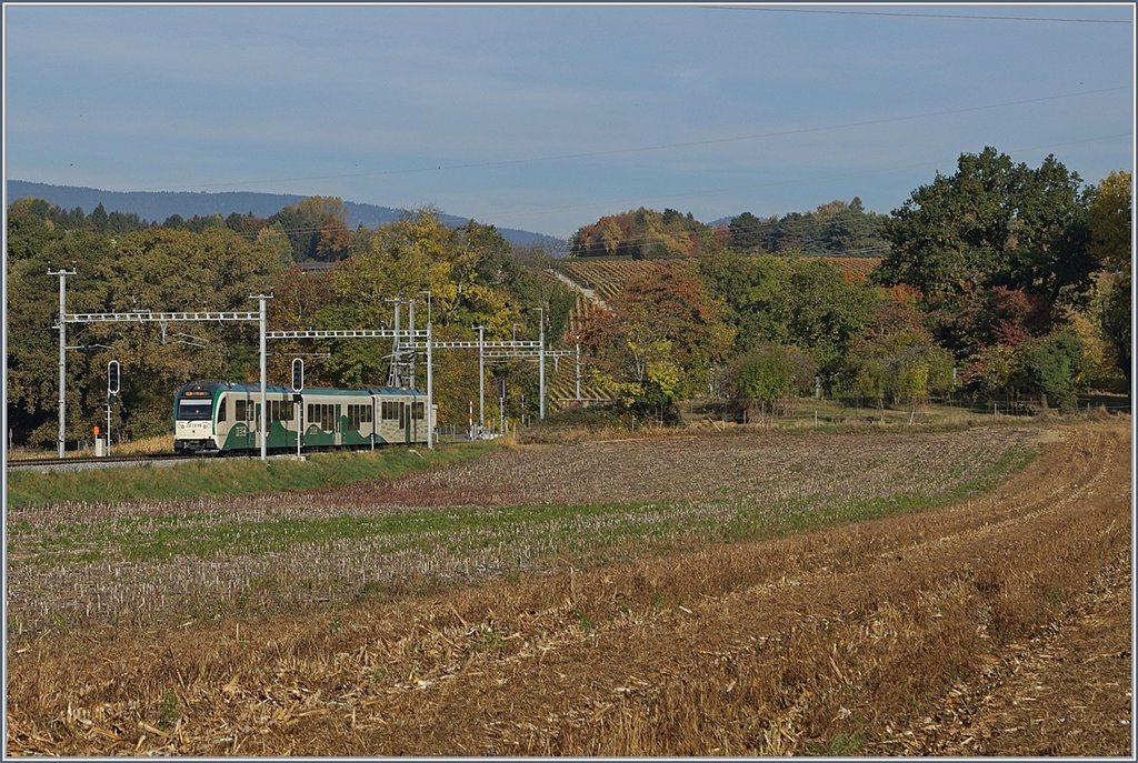 A BAM local train by Chigny. 
17.10.2017