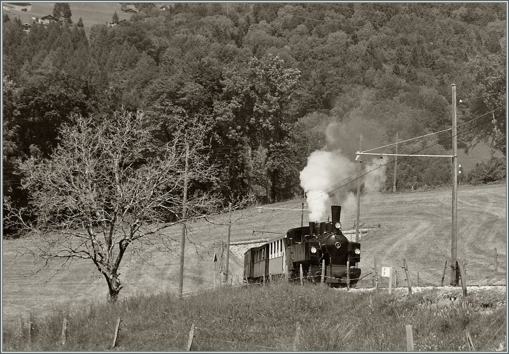 A Blonay-Chamby Steamer Train by Chaulin.
27. Mai 2012