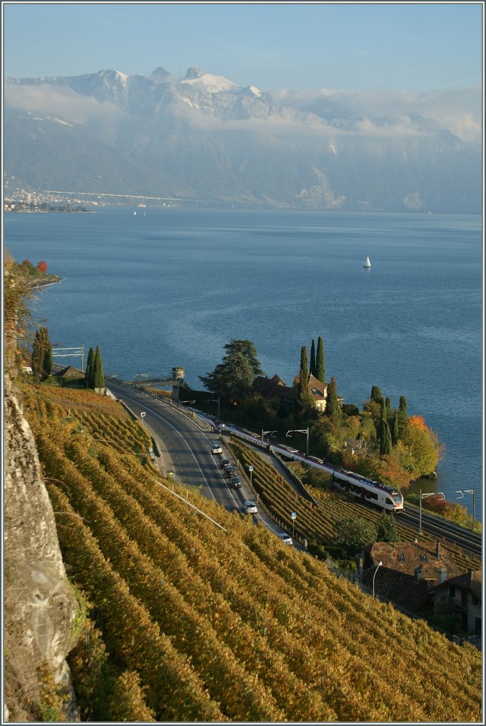 A Flirt in between vineyards and lake by St Saphorin.
29.10.2012