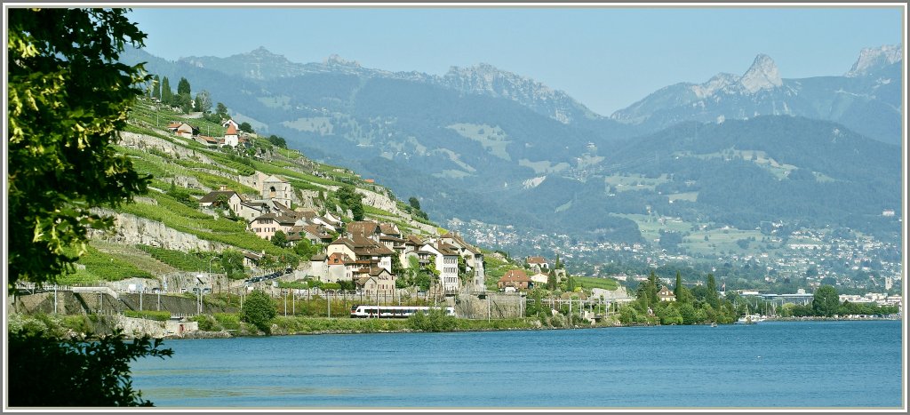 A Flirt in the beautiful Lavaux landscape by St-Saphorin.
07.07.2010