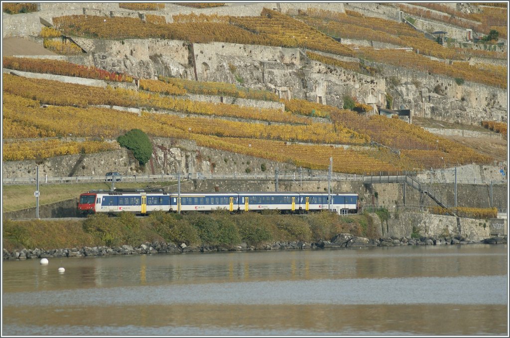 A local train from Villeneuve to Yverdon between St-Saphorin an Rivaz. 
04.11.2010