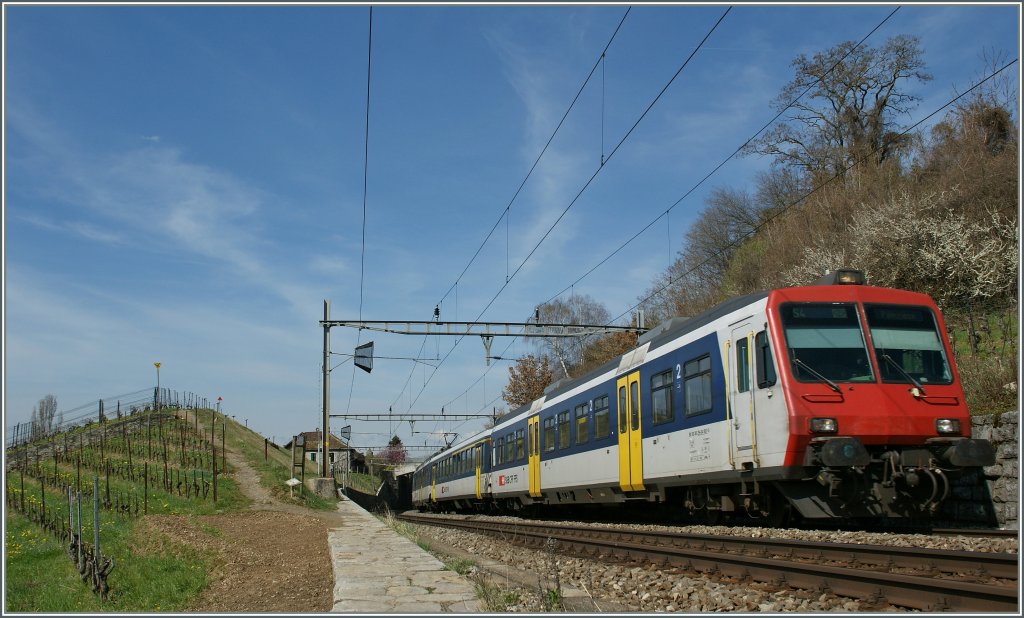 A NPZ to Palzieux between Bossire and Grandvaux. 
01.04.2011