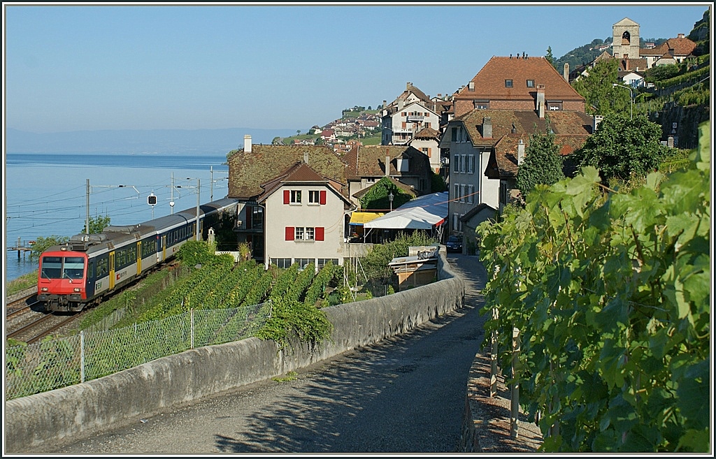 A NPZ to Villeneuve by St. Saphorin. 
23.06.2010