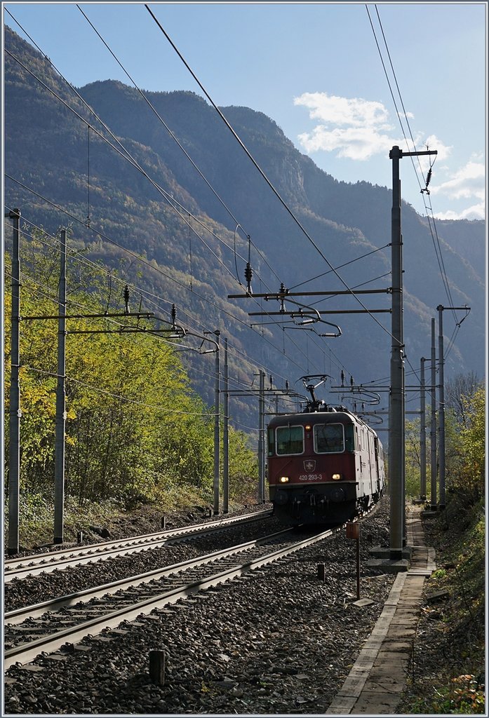 A SBB Re 420 293-3 with a Cargo Train on the way to Brig near Varzo.
27.10.2017