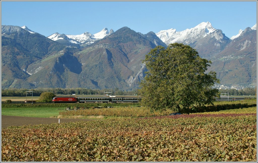 A SBB Re 460 wiht an IR by Aigle. 
21.10.2011