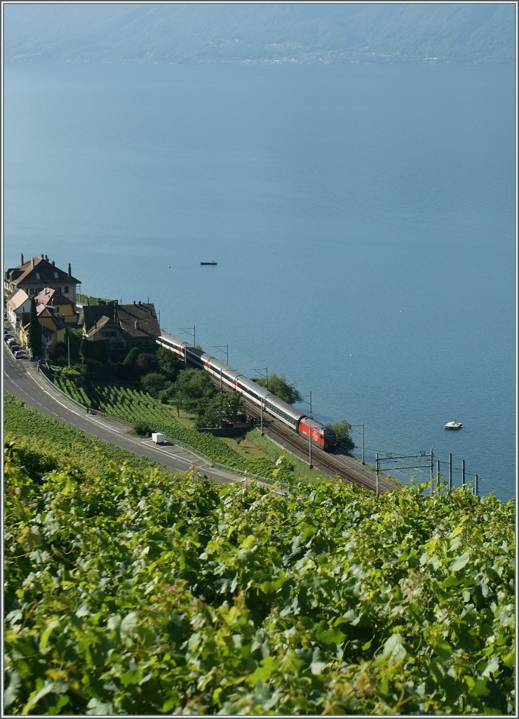 A SBB Re 460 with an IR to Lausanne near Epesses.
18.07.2012