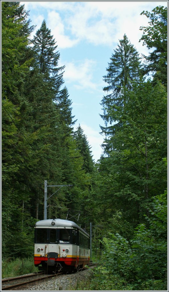 A small train in a big wood: BDe 4/4 N 5 by Les Frtes. 
19. 08.2010