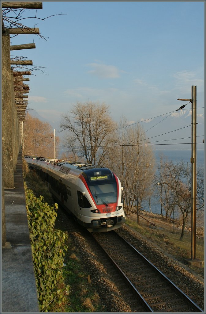 A  Tilo -Flirt near Locarno. 
23.01.2012