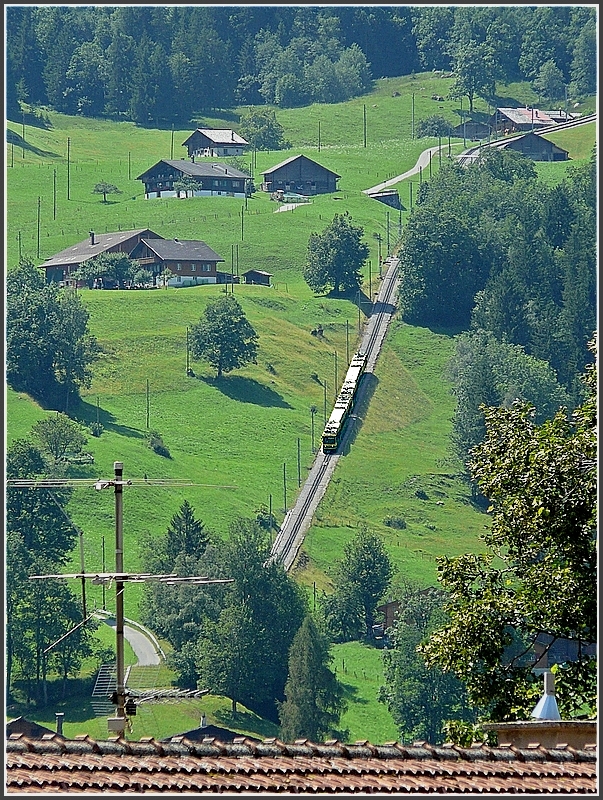 A WAB unit is descending the mountain between Kleine Scheidegg and Grindelwald on July 30th, 2008.