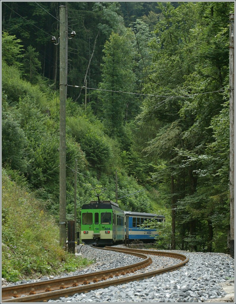 ASD local train in the wood between Les Planches and Exergillod.
05.08.2011 
