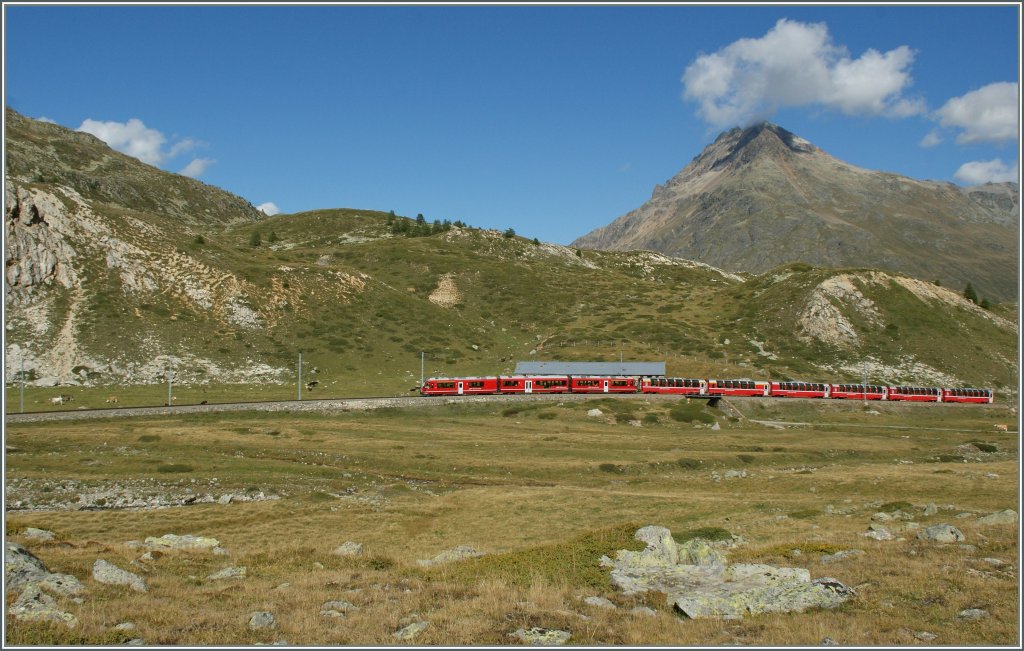 Bernina Express between Bernina Lagalp and the Lago Bianco. 10.09.2011

