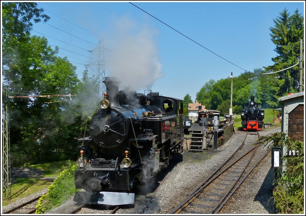 B.F.D. N 3 and SEG N 105 of the heritage railway Blonay-Chamby taken in Chaulin on May 27th, 2012.