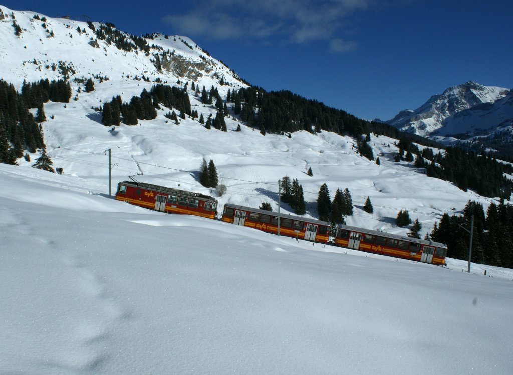 BVB train on the way to the summit. 
21.01.2010