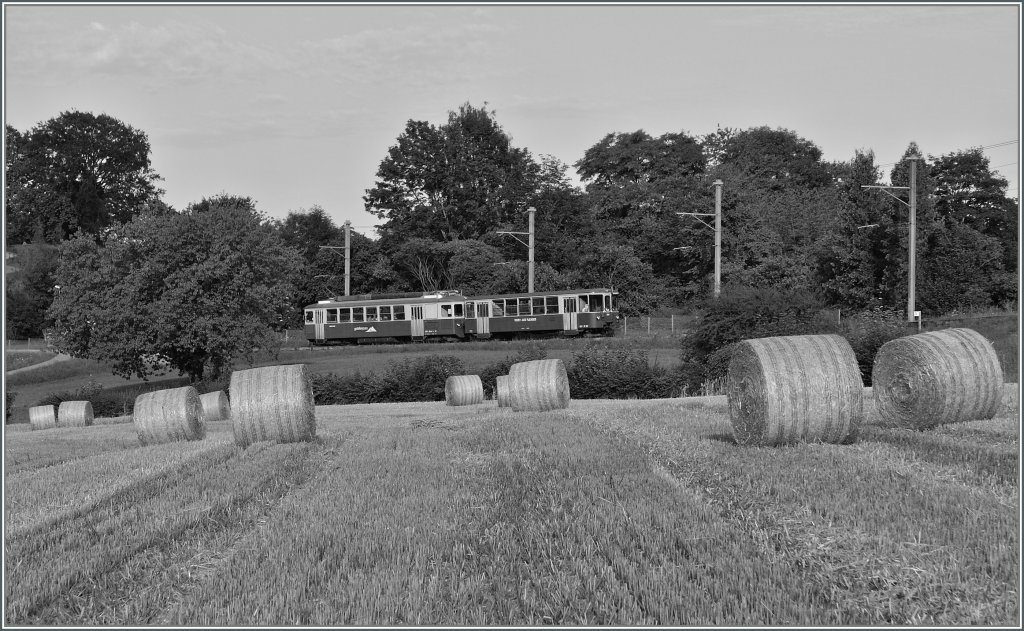 CEV BDeh 2/4 N 74 and Bt 221 by Chteau d'Hauteville. 19.07.2012