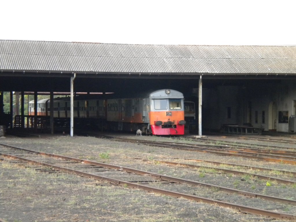 Class S6 736 is parked at Anuradhapura   Running shed,  all diesel multiple units in SLR are classified as S Class. This is one of the very few remaining in service out of the 10 units which were introduced in 1975.Builder Hitachi and powered by Paxman 1165 HP V12 engine.