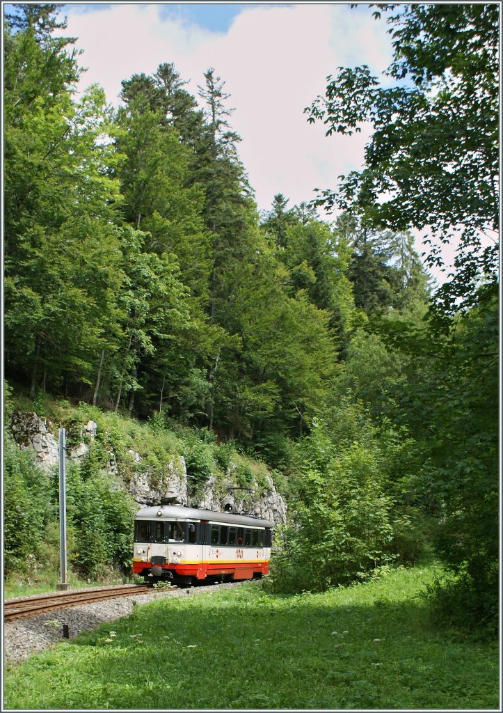  cmn  TRN BDe 4/4 N 6 by Les Brenets. 
19. 08.2011