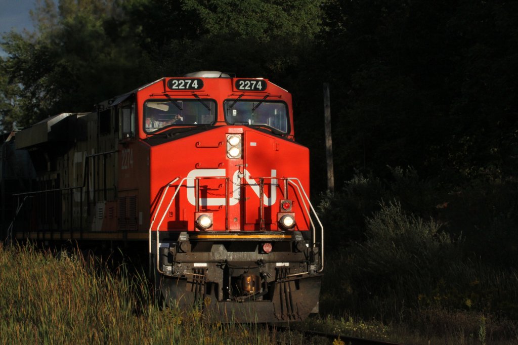 CN ES44DC 2274 comes out of the forrest. Eastside of Toronto on 13.Sept.2010.
 