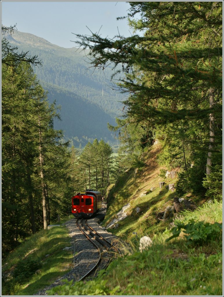 DFB Tm in the Wood by Oberwald.
05.08.2013