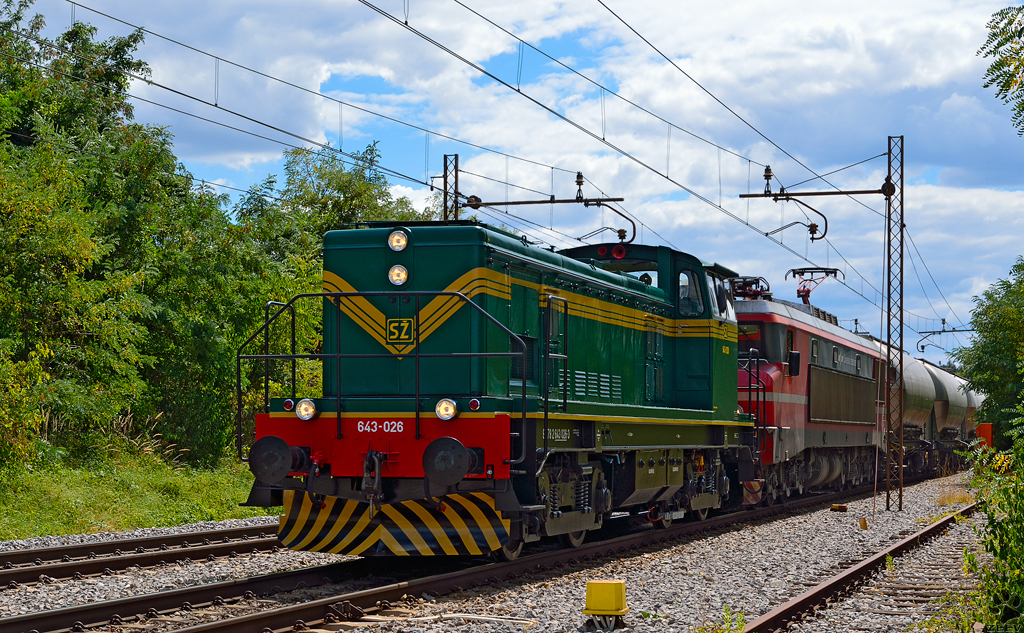 Diesel loc 643-026 and electric loc 363-? are pulling tank train through Maribor-Tabor on the way to the north. /31.7.2013