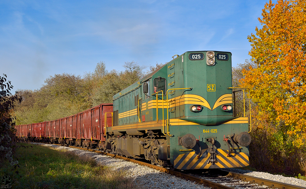 Diesel loc 644-025 is hauling freight train through Maribor-Tabor on the way to Tezno yard. /8.11.2012