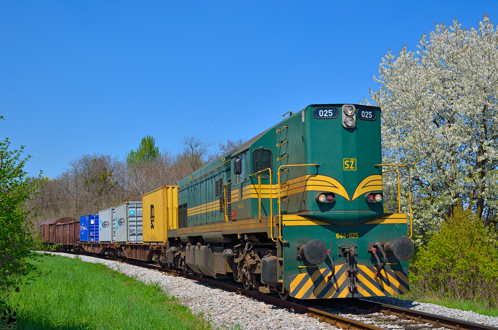 Diesel loc 644-025 is hauling freight train through Maribor-Tabor on the way to Tezno yard. /25.4.2013