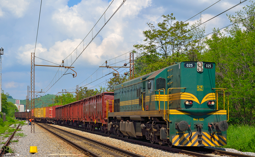 Diesel loc 644-025 is hauling freight train through Maribor-Tabor on the way to Tezno yard. / 9.5.2013