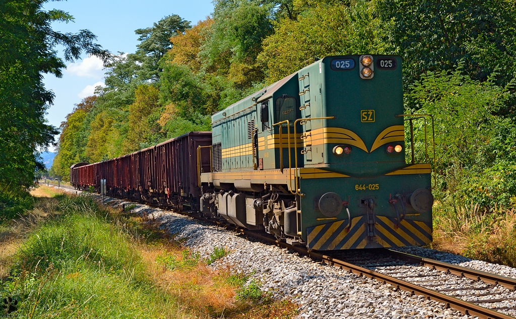 Diesel loc 644-025 is hauling freight train through Maribor-Studenci on the way to Tezno yard. /12.8.2013