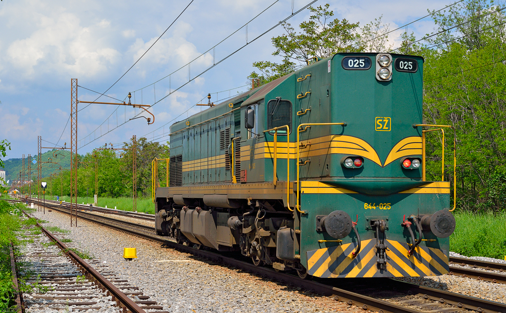 Diesel loc 644-025 is running through Maribor-Tabor on the way to Studenci station. /9.5.2013