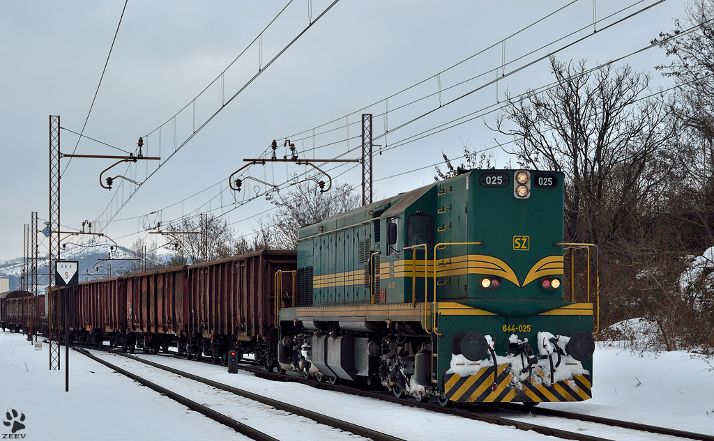 Diesel loc 644-025 pull freight train through Maribor-Tabor on the way to Tezno yard. /25.2.2013