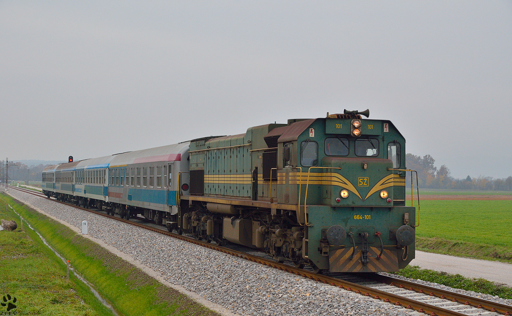 Diesel loc 664-101 is hauling MV247 'Citadella' through Gaj on the way to Budapest. /14.11.2012