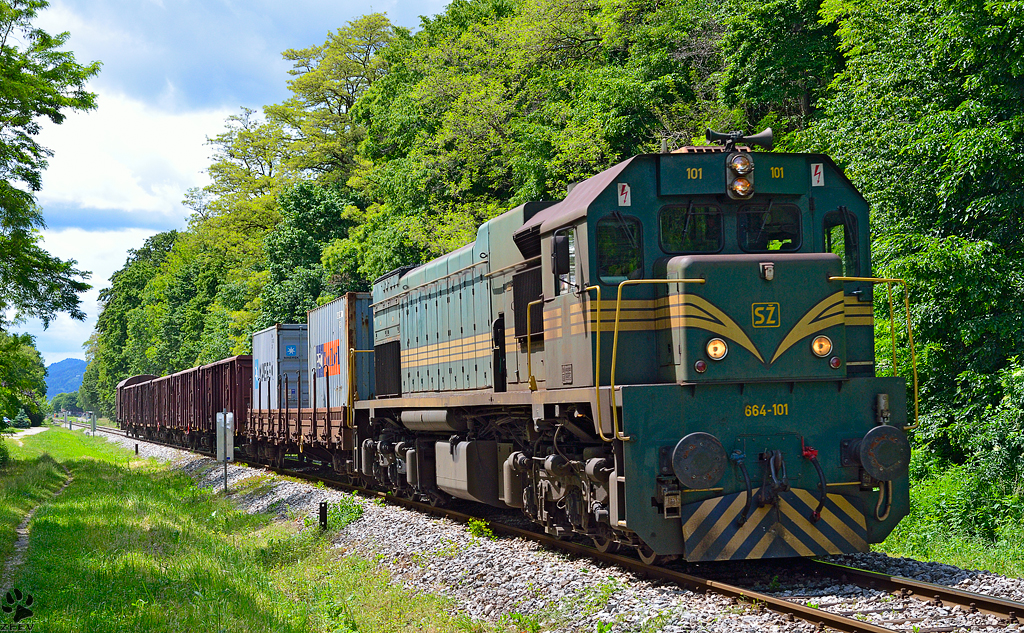 Diesel loc 664-101 is hauling freight train through Maribor-Tabor on the way to Tezno yard. /5.6.2013