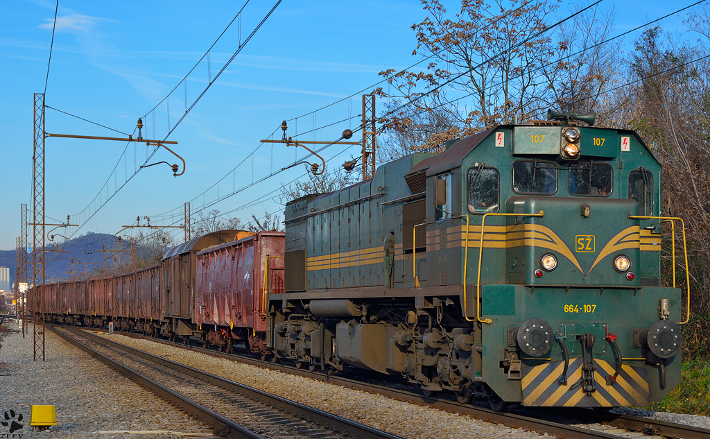 Diesel loc 664-107 is hauling freight train through Maribor-Tabor on the way to Tezno yard. /26.11.2012
