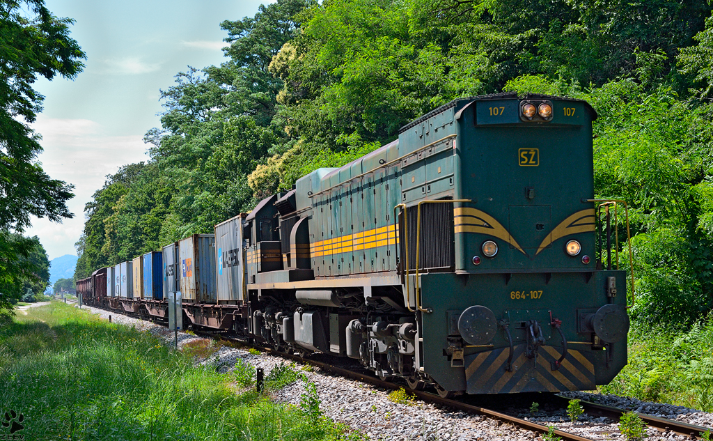 Diesel loc 664-107 is hauling freight train through Maribor-Studenci on the way to Tezno yard. /3.7.2013