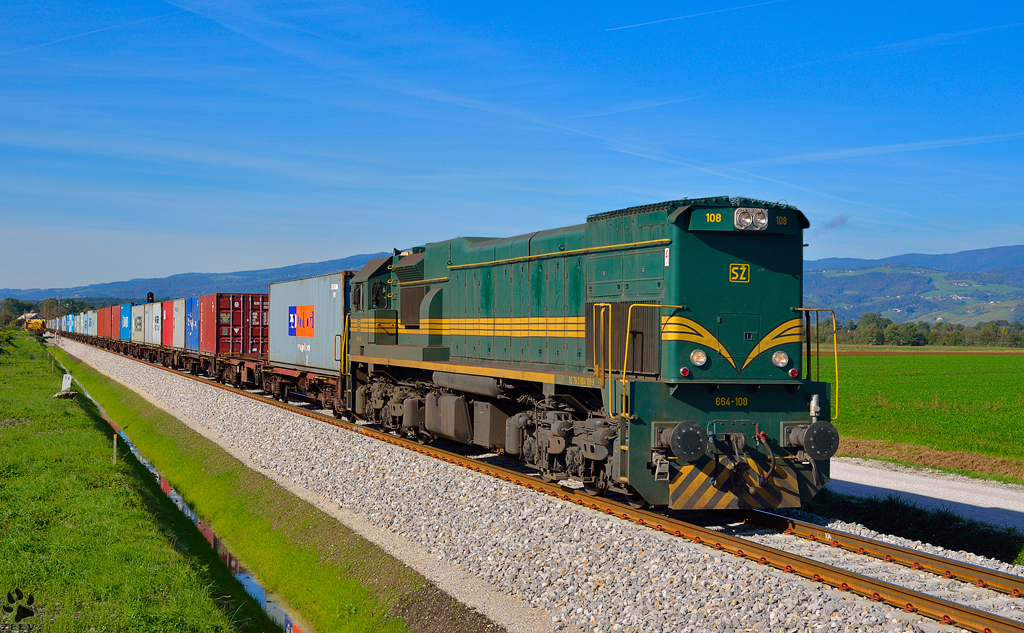 Diesel loc 664-108 is hauling container train through Gaj near Pragersko on the way to Hodo. /17.10.2012