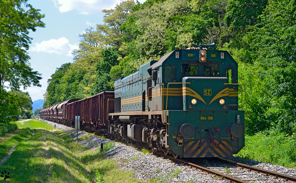 Diesel loc 664-108 is hauling freight train through Maribor-Studenci on the way to Tezno yard. /28.5.2013