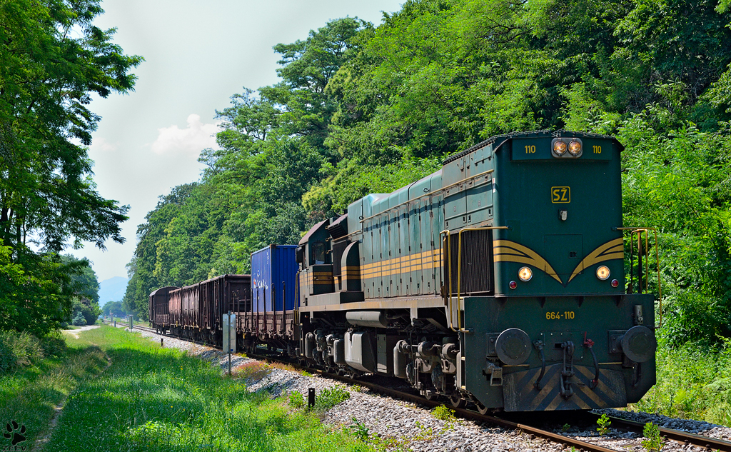 Diesel loc 664-110 is hauling freight train through Maribor-Studenci on the way to Tezno yard. /19.6.2013