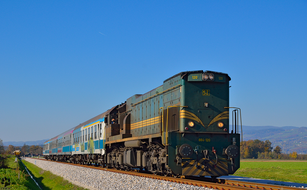 Diesel loc 664-120 is hauling MV247 'Citadella' through Gaj on the way to Budapest. /9.11.2012