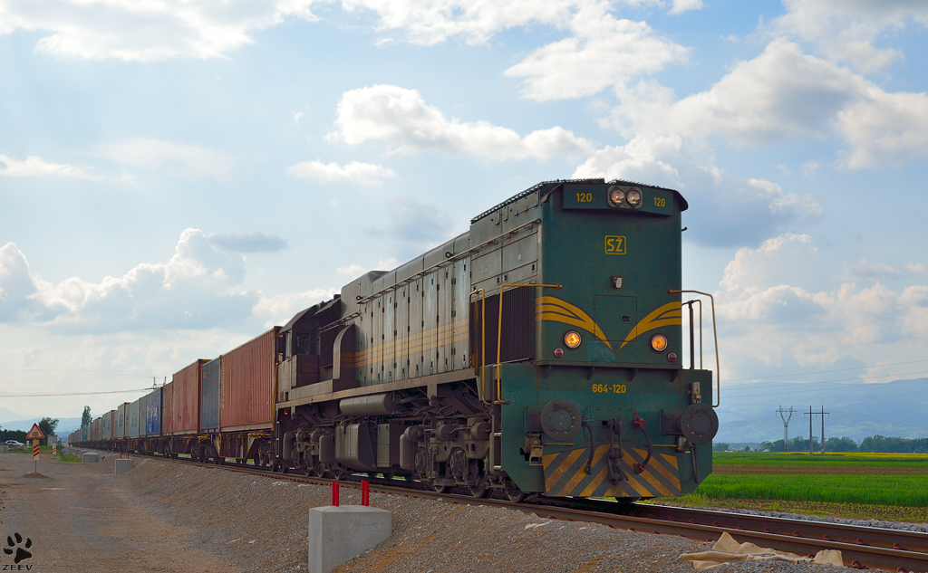 Diesel loc 664-120 is hauling container train through Cirkovce on the way to Hodo. /8.5.2013