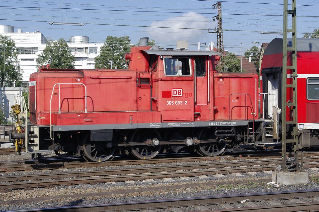 Diesel shunter 365-683-2 in Ulm Main Station, with a rake of empty carriages.
09. august 2010