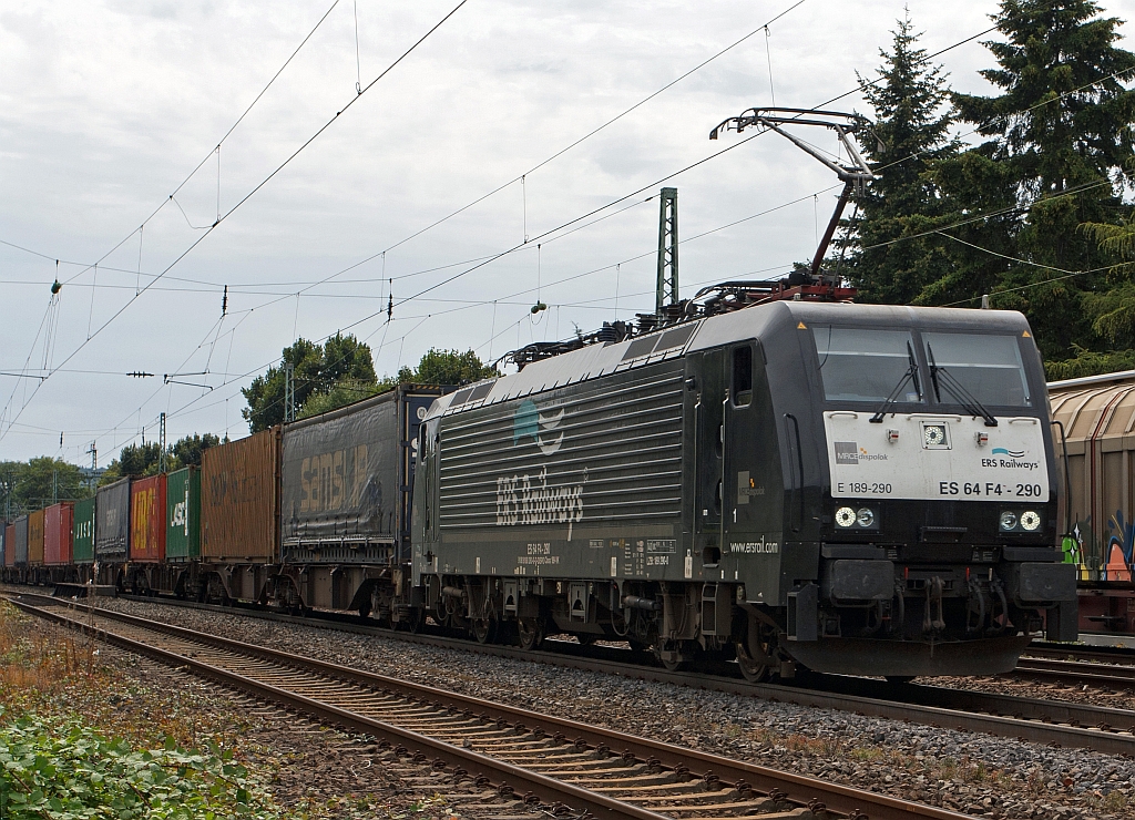 E 189 290 (ES 64 F4 - 290) of the ERS Railways runs with a container train on 11.08.2011, on the right Rhein route, at Unkel, to north. The locomotive is a MRCE Dispolok.