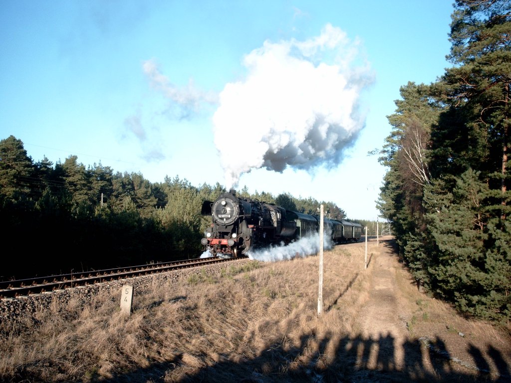 German Steam Locomotive 52 8177-9 in Rheinsberg, 2003/08.