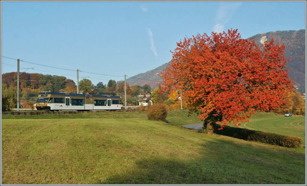 Golden October day can als be in the November: The CEV GTW Be 2/6 7003  Blonay  by Chteau d'Hauteville.
01.11.2011