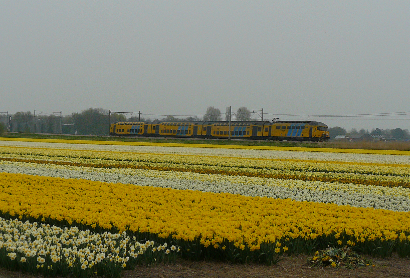 Happy Easter to all the users and viewers on Rail-Pictures and their families! 