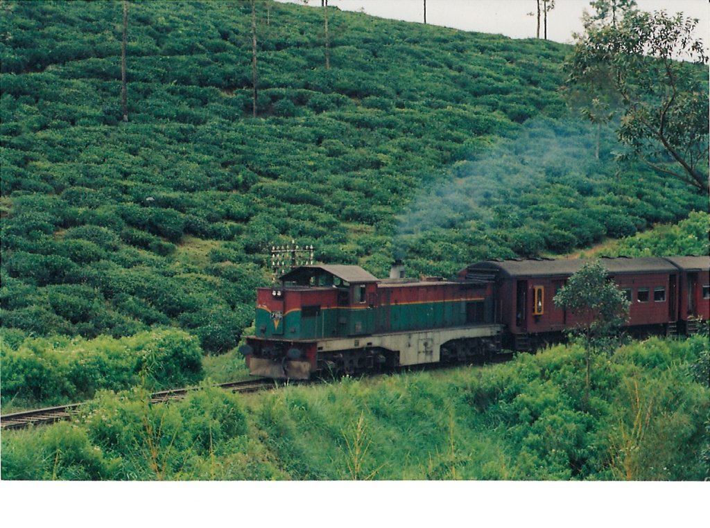 Henschel Thyssen Class M6 796 travers through lavish tea plantation in the hill country near Thalawakale seen in Sep 2012 pulling the afternoon Colombo bound train.