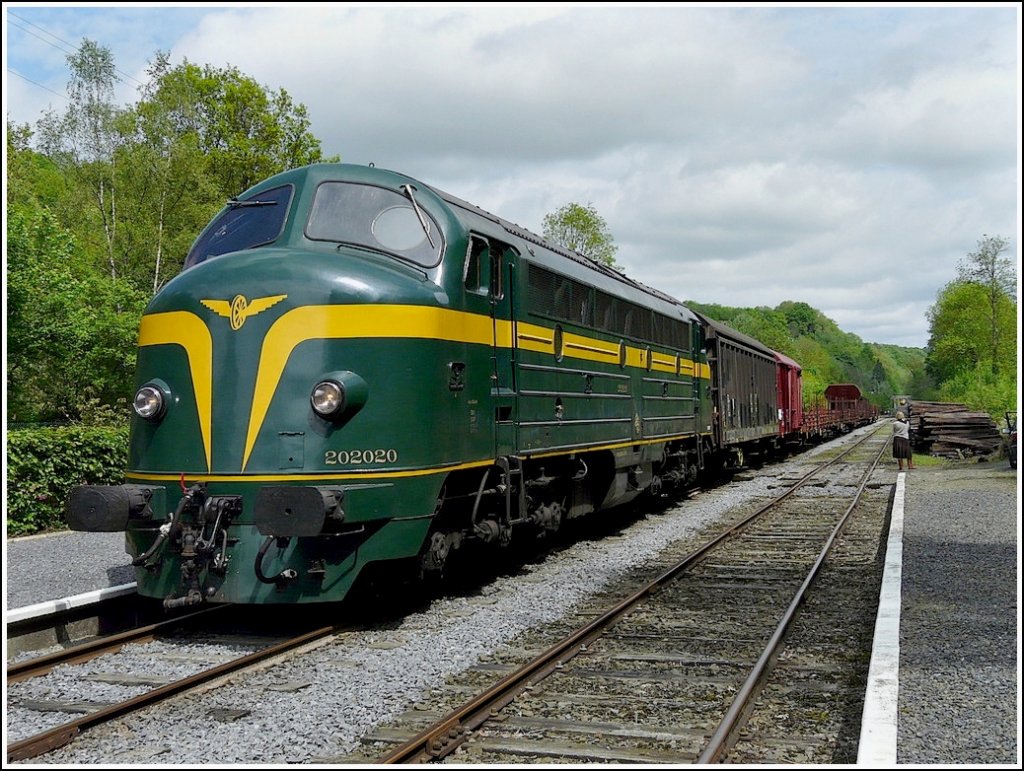 HLD 202.020 (former CFL 1602) is heading a freight train in Dorinne-Durnal on May 16th, 2009. 