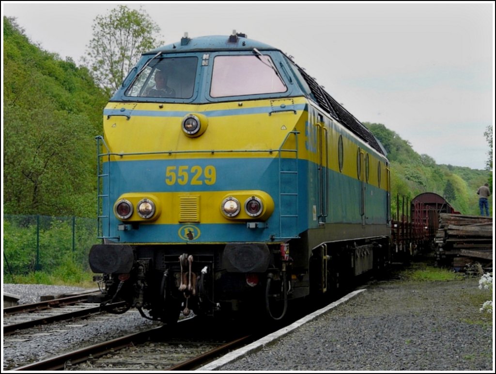 HLD 5529 is hauling a goods train through the station of Dorinne-Durnal on May 16, 2009.