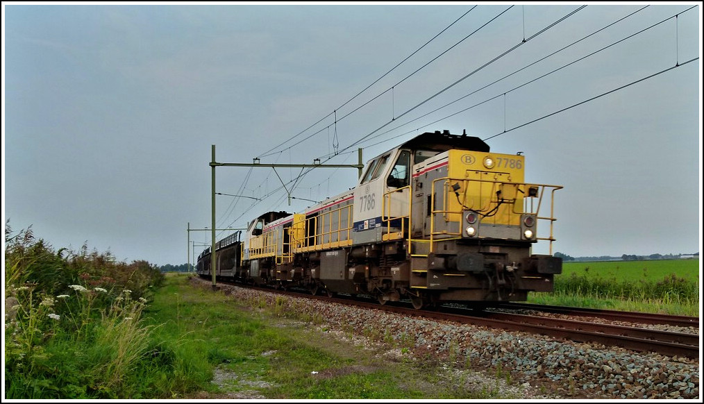HLD 7786 and 7869 are hauling a freight train near Zevenbergen on September 2nd, 2011.