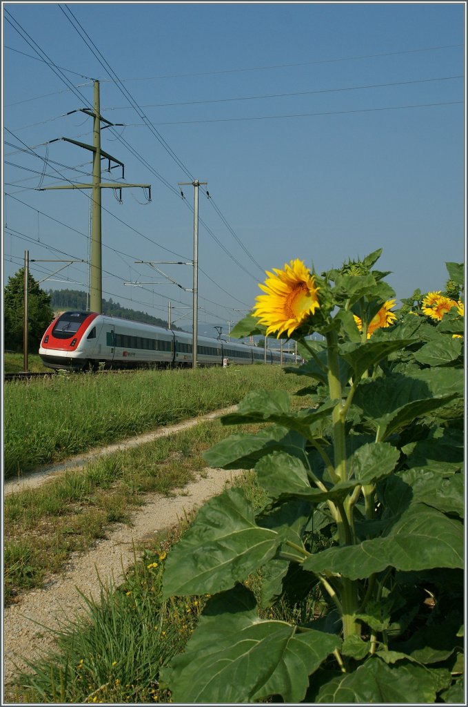 ICN 1612 from Basel SBB to Lausanne by Pieterlen.
23.07.2013